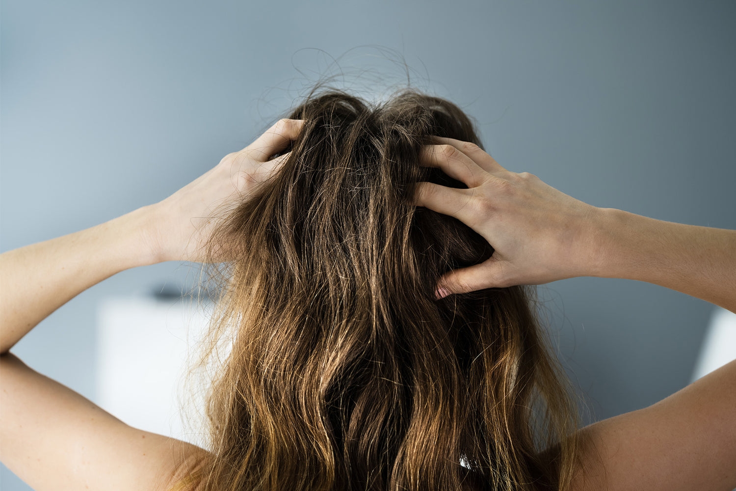 Quelle routine capillaire quand on a les cheveux abîmés ?