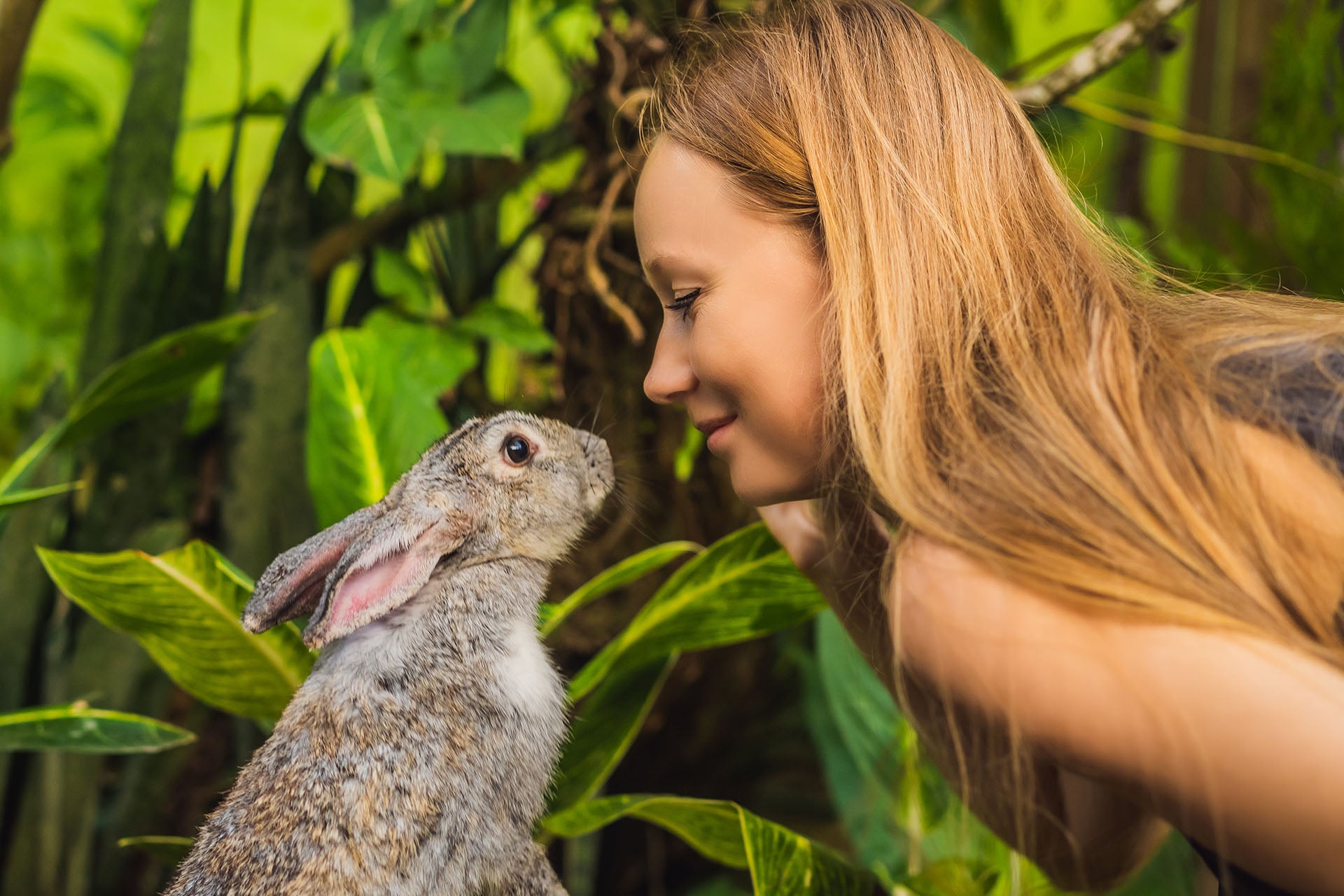 Cosmétiques capillaires Cruelty Free, qu'est-ce que c'est ?